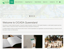 Tablet Screenshot of cicadaqld.com.au